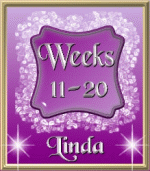 Newbies Weeks 11 - 20 